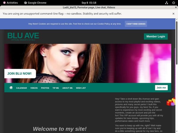 Ladiiblu13.modelcentro.com Accounts Daily