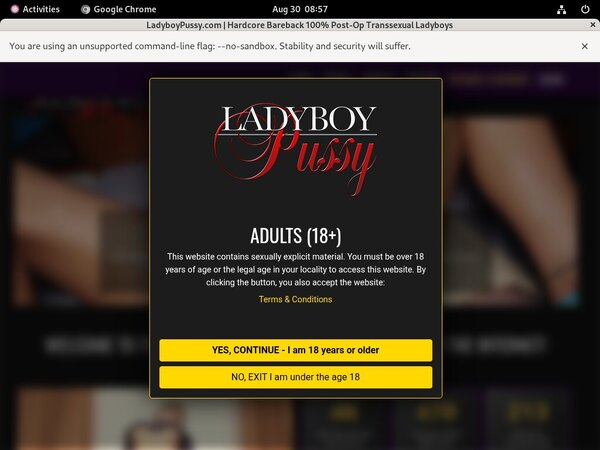 Ladyboy Pussy Discount Urls