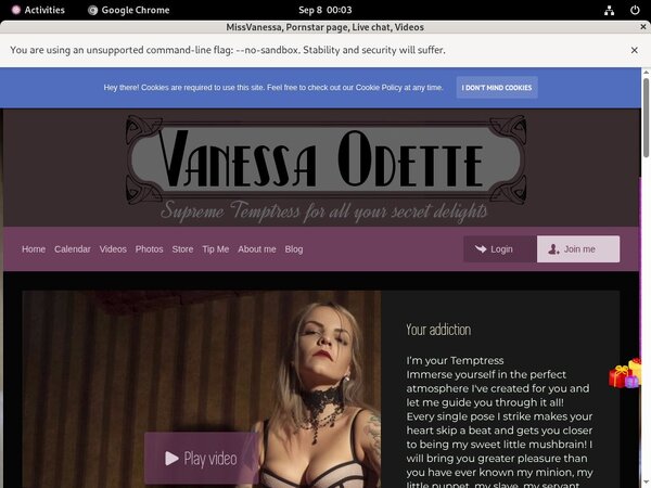 Accounts For Missvanessa.modelcentro.com