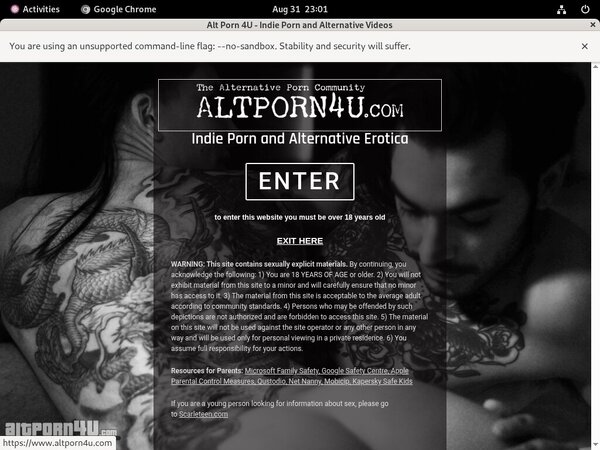 Altporn4u.com Valid Password