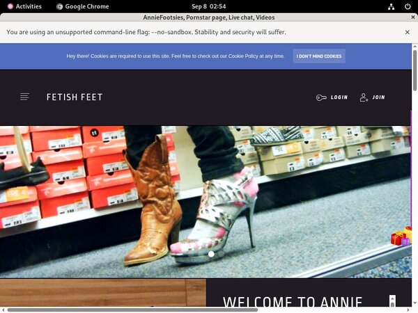 AnnieFootsies Account Logins