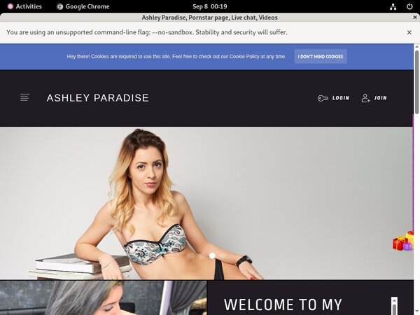 Ashley Paradise Working Accounts