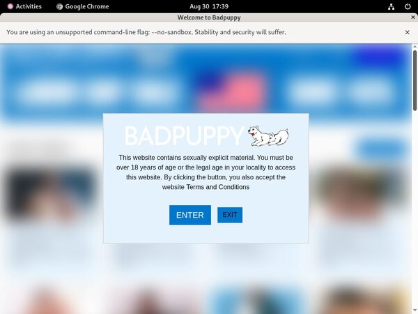 [Image: Bad-Puppy-Account-Info.jpg]