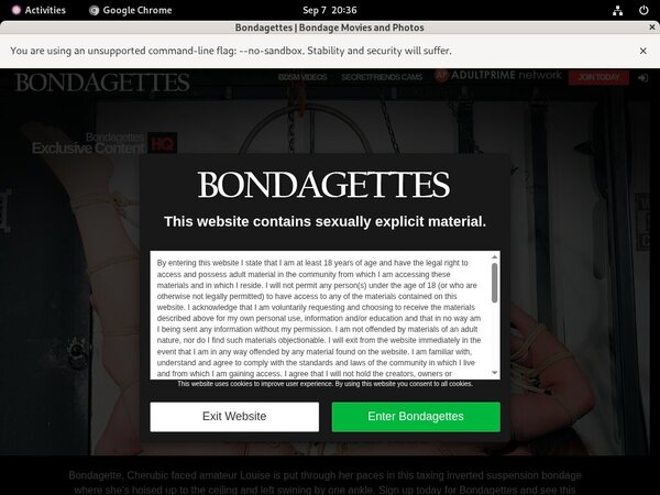 Bondagettes Active Accounts