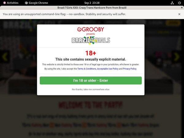 Brazil TGirls XXX With Discover Card