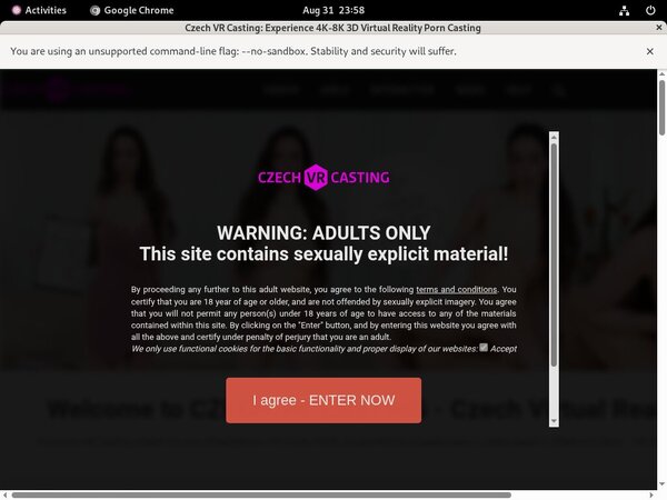 Czechvrcasting.com Torrent