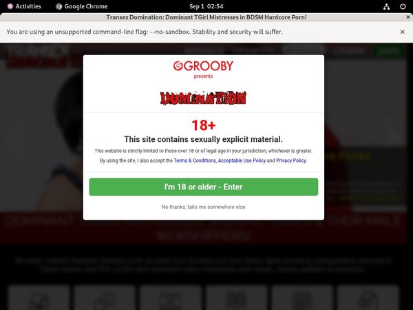 Free Working Transexdomination.com Logins