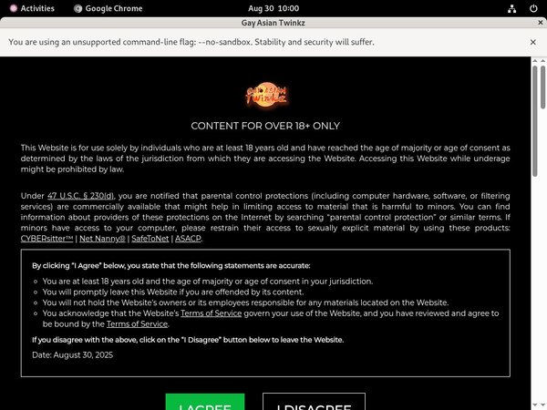 Gayasiantwinkz.com Free Id