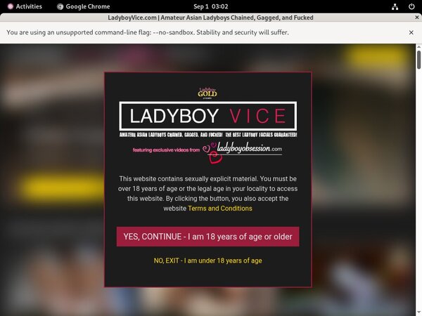 Hd Ladyboy Vice