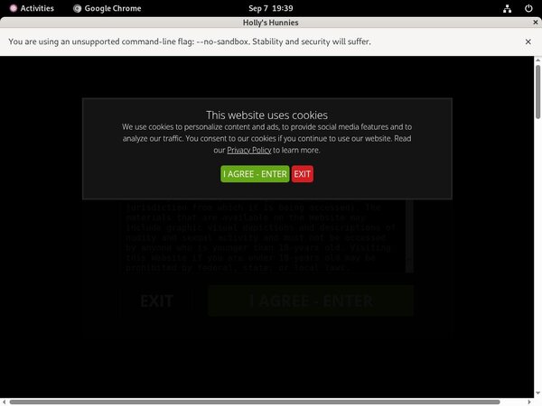 Hollys Hunnies Free Premium Passwords Hollys Hunnies Free Premium Passwords