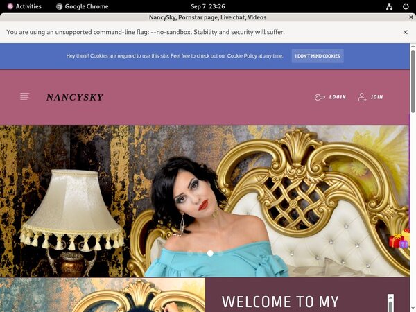 Is Nancysky.modelcentro.com Real