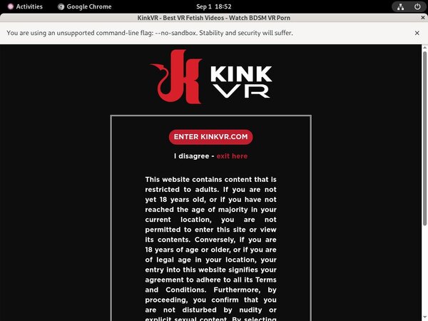 Kink VR Hub