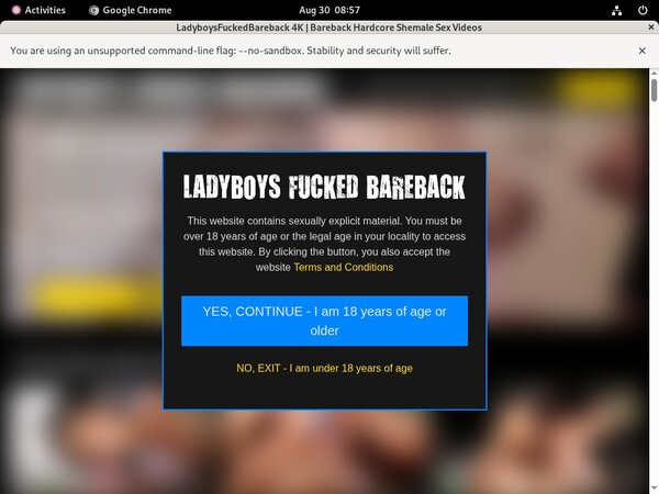 Ladyboys Fucked Bareback Mit Bankkarte