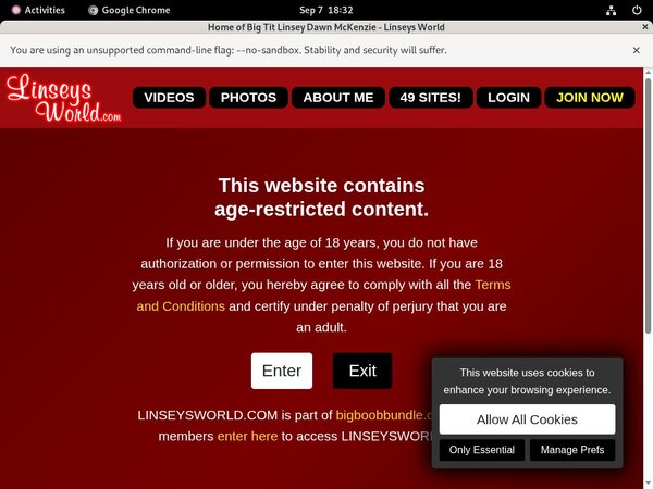 Linseysworld Passwords Free