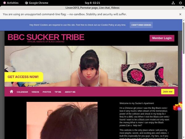 Linxer2013.modelcentro.com Daily Pass Linxer2013.modelcentro.com Daily Pass