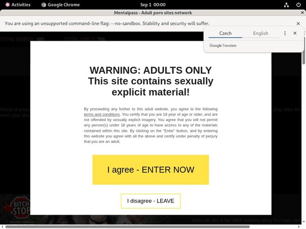 Mental Pass Pay