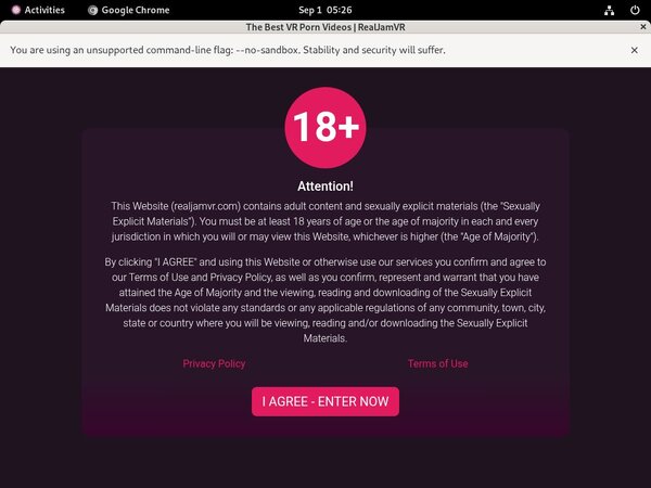 Real Jam VR Acc Premium