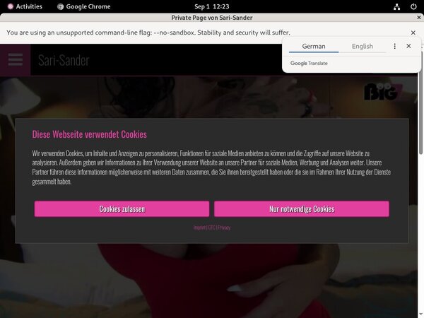 Sander Sari Logins