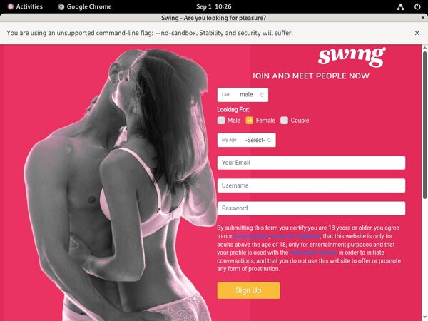 Swing.net Access