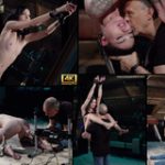 Try Free Subspace Land