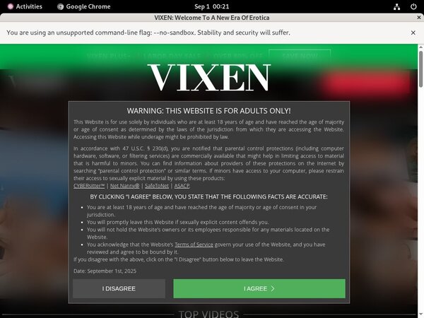Vixen Pass Word