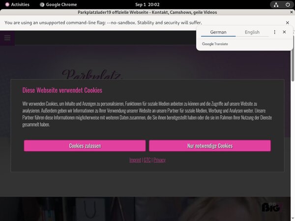 Free Parkplatzluder19 User