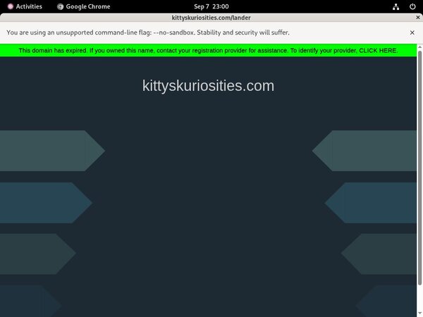 Kitty'sKuriosities Pay With Paypal